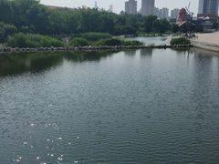 -绿岛公园(滨海新区)