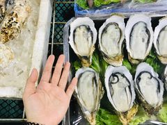 生蚝-寻味顺德·南记酒家·传统顺德菜·鱼生(广源路店)