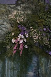 -DNA Wedding 婚礼记(上海店)