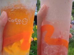 -CoCo都可(湖滨银泰店B区店)