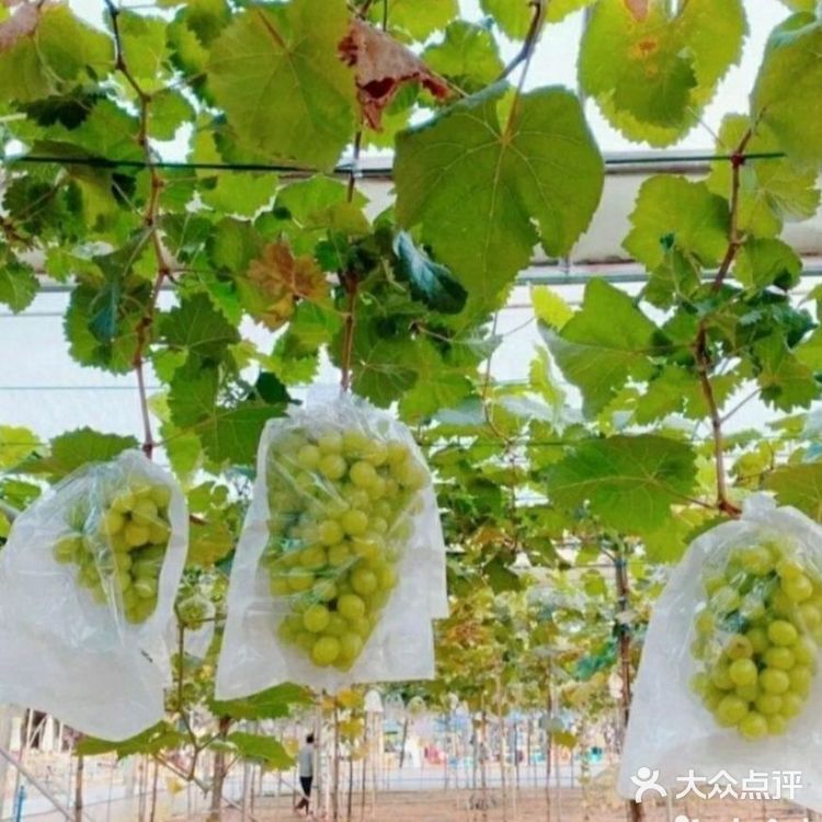一起去滑草咯