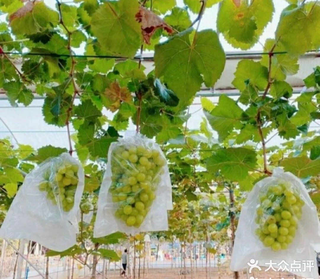 一起去滑草咯