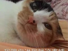 -弘烨 贵州酸汤 鱼火锅(东财店)