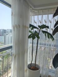 -HEYAN荷妍专业脱毛连锁机构