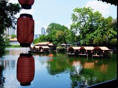 -侨美·唐荔园·40年地道粤菜