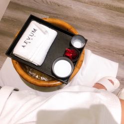 -奥斯芬欧系贵族SPA