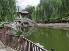 -团结湖公园