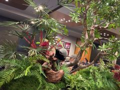 -峨嵋酒家(牡丹园店)