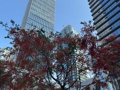 -宝藏绿洲(万象前海店)