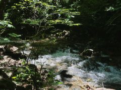 -本溪汤沟绿石谷森林公园