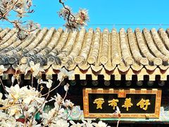 -颐和园