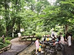 -成都市活水公园