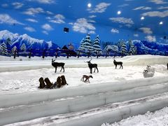 -世界之窗阿尔卑斯冰雪世界