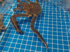 -三亚火车头万人海鲜广场