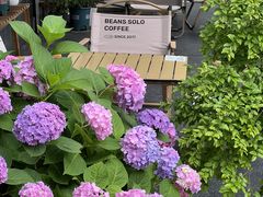 -Beans Solo豆号咖啡(百家湖花园店)