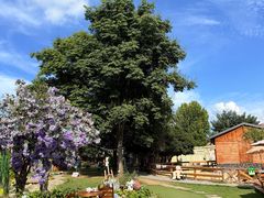 -HERRE·FARM 赫尔露营农场·团建聚会包场