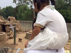 -西安秦岭野生动物园