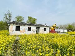 -溱湖国家湿地公园