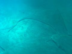 -白鹤梁水下博物馆