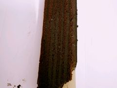 -Awfully Chocolate(嘉里城店)