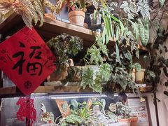 -吉丁鸟咖·异宠·寄养