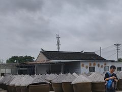 -苏州市吴中区光福窑上花果蜜饯厂