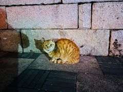 -相门城墙文化休闲景区