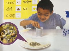 -I-Shine英语国际教育(大三林中心)