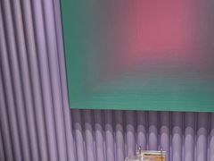 -椰小鸡·琼州糟粕醋·火锅(美兰缤纷城店)