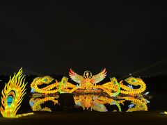 -武汉园博园(武汉自然博物馆)