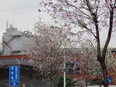 -洲头咀公园