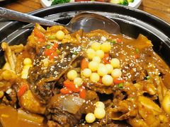 甲鱼牛蛙锅-洪湘记川湘·甲鱼馆(四海凯悦美食广场店)