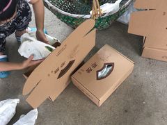 -马陆小张葡萄园农家乐