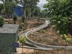-十渡高山漂流