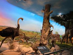 -国家自然博物馆