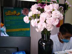 -安安宠医宠物医院·异宠·犬猫内科(岳阳分院)