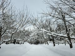 -北海道神宫
