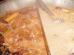 -九鼎轩脆毛肚火锅(三钢里店)