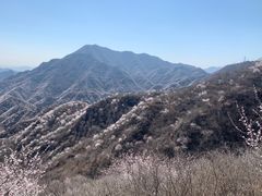 -大岭沟猕猴桃谷风景区
