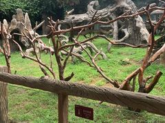 -杭州野生动物世界