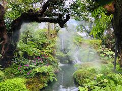 -Chom Cafe and Restaurant