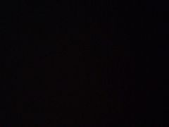 -小叮当动物医院·骨科·眼科