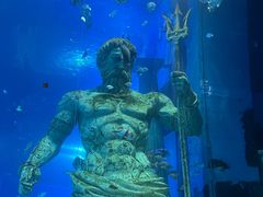 -正佳极地海洋世界
