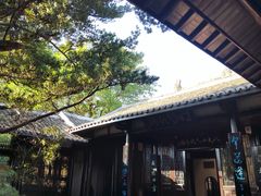 -八大山人梅湖景区