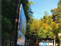-紫金山天文台