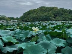 -南京珍珠泉风景区