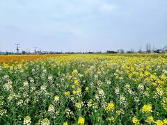 -中国天府农业博览园