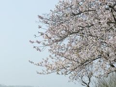 -蠡湖大桥公园