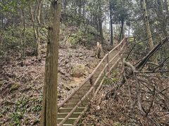 -缙云山景区