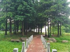 -西山漾湿地公园